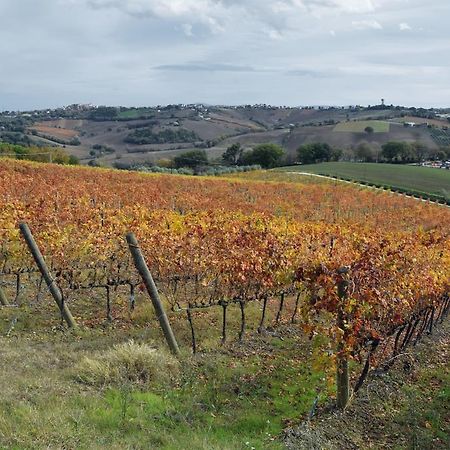 Agriturismo Al Rifugio Divino Belvedere Ostrense Εξωτερικό φωτογραφία